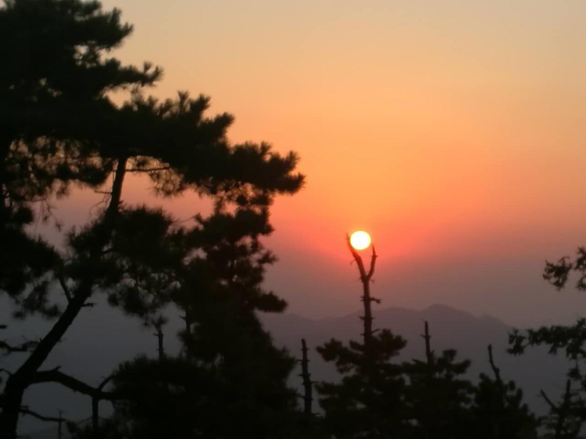 Mogan Mountain Xiaomusensen Villa Deqing Eksteriør bilde