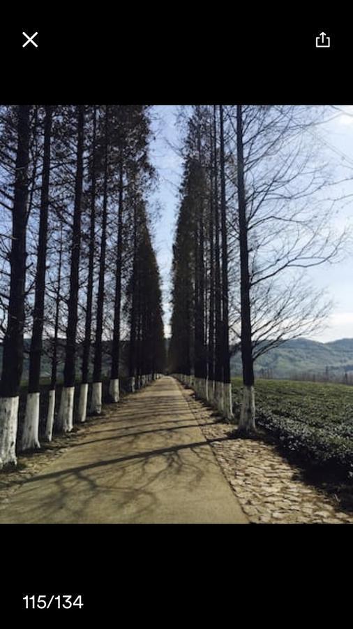 Mogan Mountain Xiaomusensen Villa Deqing Eksteriør bilde
