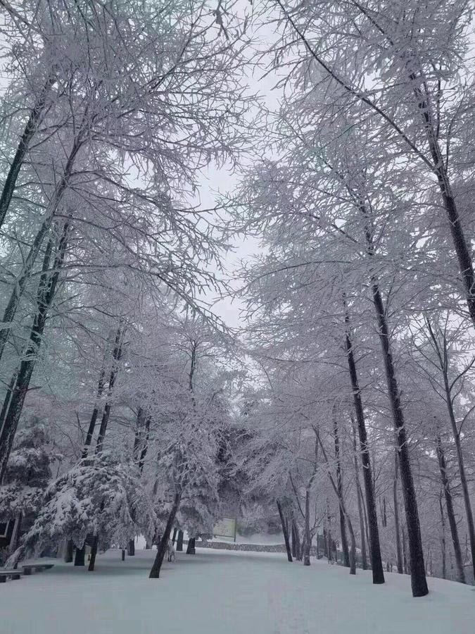 Mogan Mountain Xiaomusensen Villa Deqing Eksteriør bilde