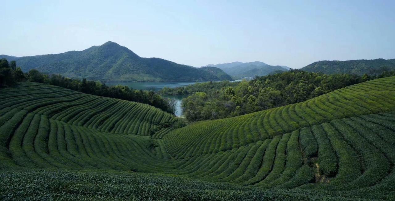 Mogan Mountain Xiaomusensen Villa Deqing Eksteriør bilde